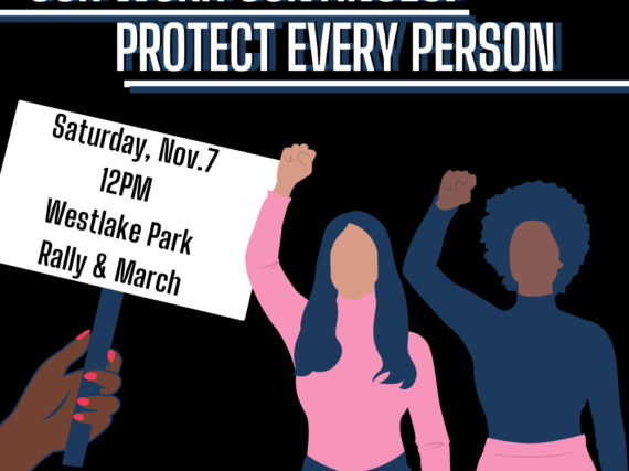 Protect Every Vote